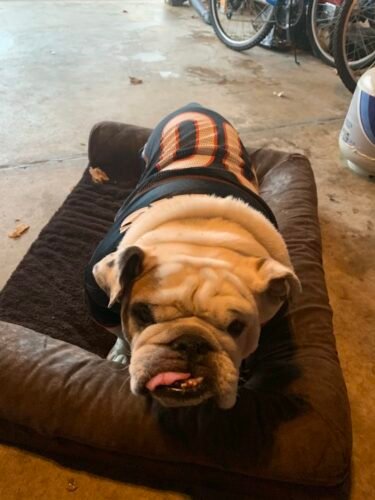 AC9h4no5hDZlxJSbaUcWE8mAG 4qogTU3AoUCKnQoIO5JaUNR Kwf8jq4iqGA9VwbvOdWJvCgc44R3vsOL D 5oS95IS8MWOAMAoQ8fajWIzJYXvwpIKAnxVTxOZgidPco5bM2J6UWsvIQw1600 h1000 k no 1