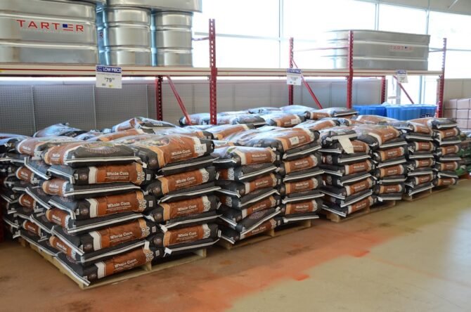 AC9h4no9I7OVps UBA3tkZZPk4ako0Y0w8KtyzSNzEgJ7KbRZRCeGtDytHfWQkqHmqFCkaYQeYA0jf8 aigTfi9HzL4ItdY4u5MbVvY2QsKiqOWChrxBxyWIlYl7shXK7fDf5B4L9gi2Ogw1600 h1000 k no 1