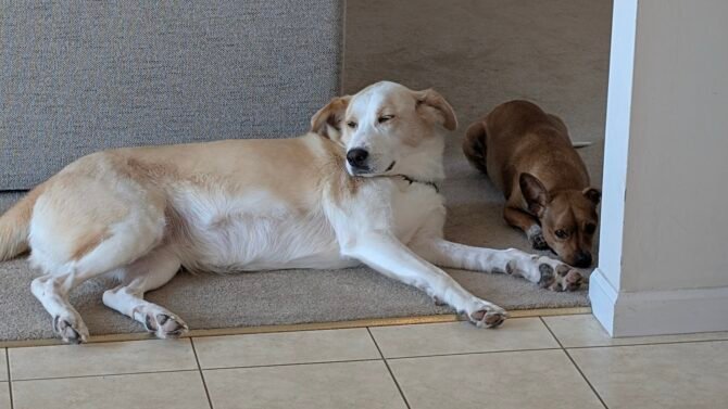 AC9h4noZhrRS fJnhJEUyMrUEQaTaWzqj7puu5L3o7I0XDEJCoCAGpBjcW9QOGbW0rzb4zZws BD14rrNCk4tkNHOGA EIFRuc 2Vo99G98UaSQuMauNtNJHpRrPATDsjpAEaLUiDflGJ9FEAUcw1600 h1000 k no 1