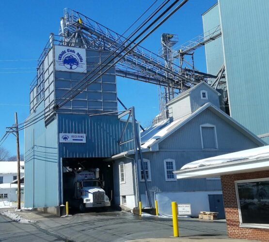 AC9h4nokUY3hfndgKMS1YRFY8y065jYFV42Hj7nbHr7RRyf1bIf3yYeLfjkC1VNRwQ0e0KA47SQDC9zbmvzzP EdLHD7L QQg4 VJUwmJMB mzjREJiXsXvTd35Umy5tDktRvWT0nyAw1600 h1000 k no 1