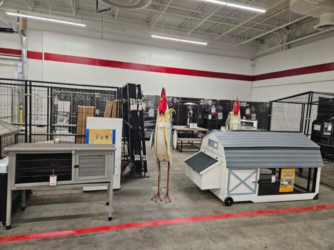 AC9h4npRBa7sUT OMZFmYglmBMa jgT8LG9Xc FmoivjuHc9MZ4UtGqk 4m 9Z5SDjU KfZn8t yKcSUz3It66JMz17PzDZ8 qQsEh2DJNJNiVMc93Fs0f6k gm5huYoiqIpsdnHxSDuXsI2kEEw1600 h1000 k no 1