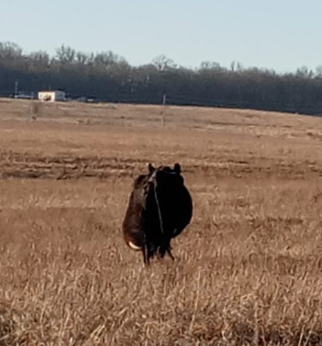 AC9h4npsZC pXBM8Xh4IX1gZgzgQu C8SBi5tLd8pt6xQ04h4uBAt1A4dXqVqbmXytrCq MJsiHTm5buTrGIhuFkwdTfChDnstLpKLWwOM IRU4Opb3Ib6gZA0FivZE75oY X5L8ZTORgw1600 h1000 k no 1