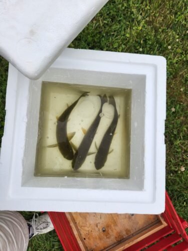 AC9h4nq16HXASB3cPnwcsdKF6N2b51 s3Icwh cFmpD0VrRbWMdsfWfqmO5RRgzbVdAjmOTR0AhEKU8nxcQemRlgE FkQqcfVMyVn5lBw12qaMUlRJB5PITLeYYAniEo7kn3Qk0tSI8lgw1600 h1000 k no 1