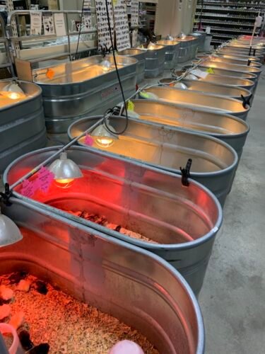 AC9h4nq3 VLaBYpKQs6FFadnrcVARR ZGKLaVeklDRk4fujc wXGkaZ0fjQ8LVKt8RTOdpV73eq9QJ0Uoq2rrQFLo 3IXjonEMcpGGlLT2hgW5iWj6ECgEXK rKyVSCb sVdUdBMXApow1600 h1000 k no 1