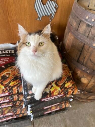 AC9h4nqhL9GDoSb8kf0vc2Sl043Ovxs4NmmytMTSEm1ox0ICLBhtDVMn sKHUKgUxtwaRPg6hyEPopn3c 0z5QWN6GcOIuorebIPHLn3Eu49 ekDDiVFYz5oK5 x1r3zJeTTH9LkoY 9w1600 h1000 k no 1