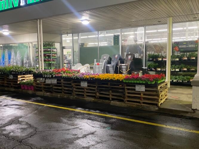 AC9h4nr9 3blD7IP6LR3cnYL2YoK Q NiNDVHLjcPqDWSimAgjF7qgK16 DYklUWDdg6WUCfcU6KzfYOQJBQb0EO4c9NrMfa9ocuV5NFX oTLF MFpfcyNStv2ux0G9lu8kphngs9S8w1600 h1000 k no 1