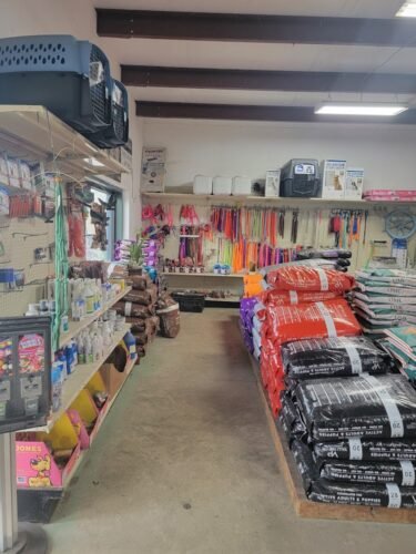 AC9h4nrsU9bbppcSAz9gbldOnsCJIY3OyJuQ3IVhutTzQERO7Up5Tae88OJ0aBS2i4QStPJ6kF70J9mKg lOEjFO7wRn5mmSqSclxIWj4BiwN3BEEshCJTT7s6eJHZ9snmQgsJKtz31Cxgw1600 h1000 k no 1