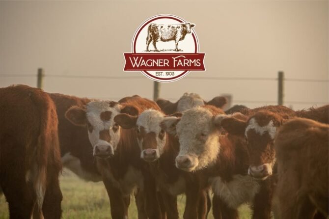 AF1QipMTj7dSh7gHhFQ0RAmqSckw4seOlKv88qTzpxG6w1600 h1000 k no 1