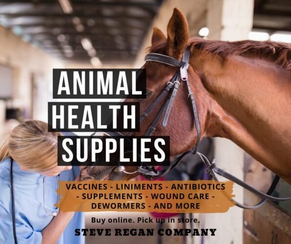 AF1QipMXMnHW2rcN1eHZQZHxVn8Y5fPsEH4QjyArNN77w1600 h1000 k no 1