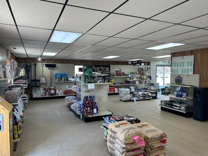 AF1QipMY8BavM17HayGmzngx3tanduauKOrvhccH8einw1600 h1000 k no 1