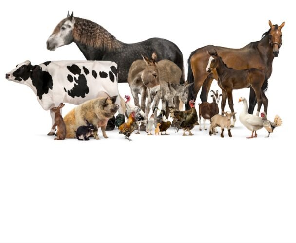 AF1QipM t7Zlzp5ZO6T79qmcUKBqMATM4NrDDbUAaSa9w1600 h1000 k no 1