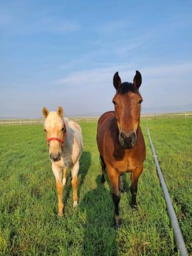 AF1QipMnTaGf5yfj YUY3mL1g0t xWzVCkH4SjxoP zdw1600 h1000 k no 1