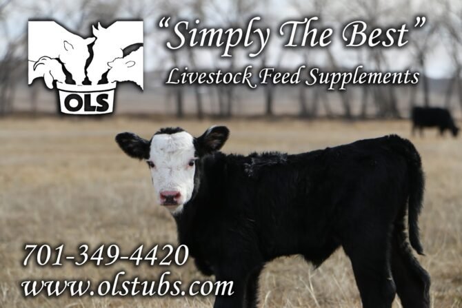 AF1QipNeqDZAi9fdFxAxAcHcxZ502 OciABqQ4M HL69w1600 h1000 k no 1