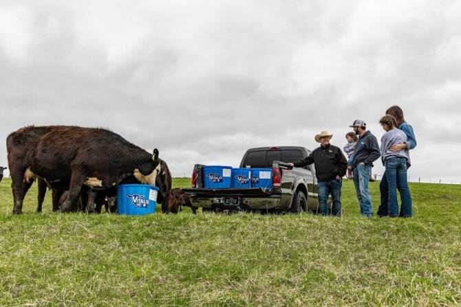 AF1QipO5SLBN80qcK78IxY2MPuWRhZVeqVCjmWmkXjoxw1600 h1000 k no 1