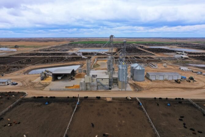 AF1QipOGguGoo1PDnf78dS vwpY61CO8Rn8kGwd HvQZw1600 h1000 k no 1