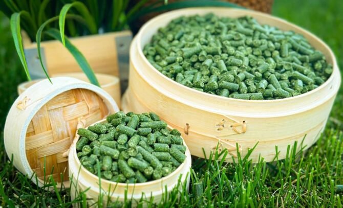 AF1QipOXXBsBtHM5K nLoT9AydaTs42a dS iV mCSYAw1600 h1000 k no 1