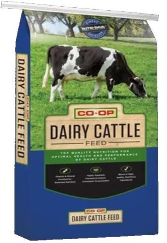 AF1QipP08AShcsIsAMQ3OQ Cs qgq5tJ rwxaCiszKOWw1600 h1000 k no 1