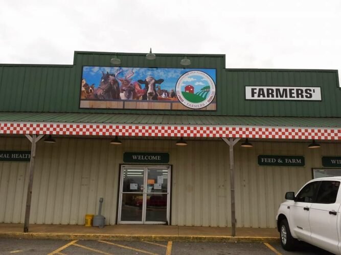 AF1QipPr9DTFd3oD3mXE 9JRHWjirWRlzp37YuoZhdMNw1600 h1000 k no 1